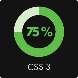 CSS3 Skill